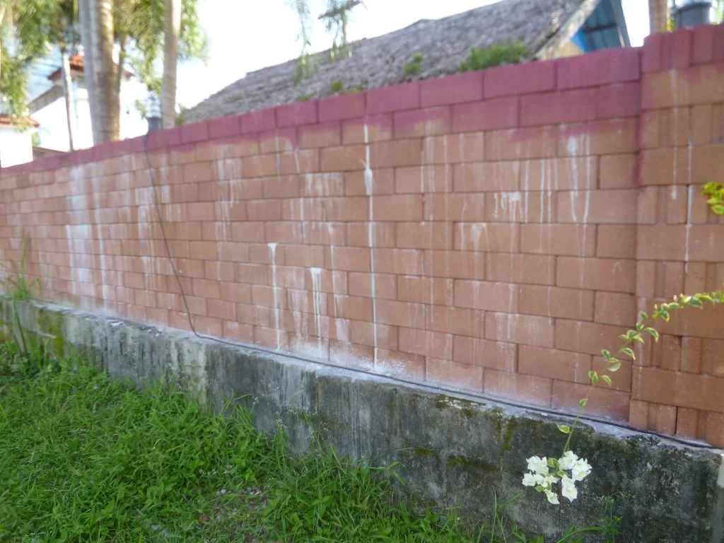 ´´´´´´´´ 002.webp