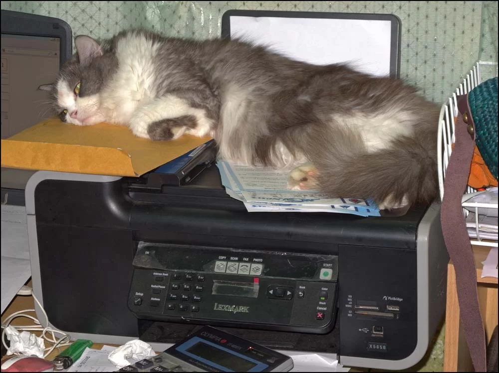 12-0533 Kungking och skrivaren.webp