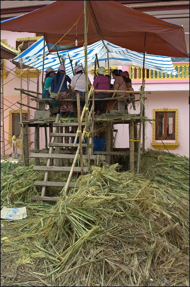 12-1696 Skördeceremoni PHS.webp