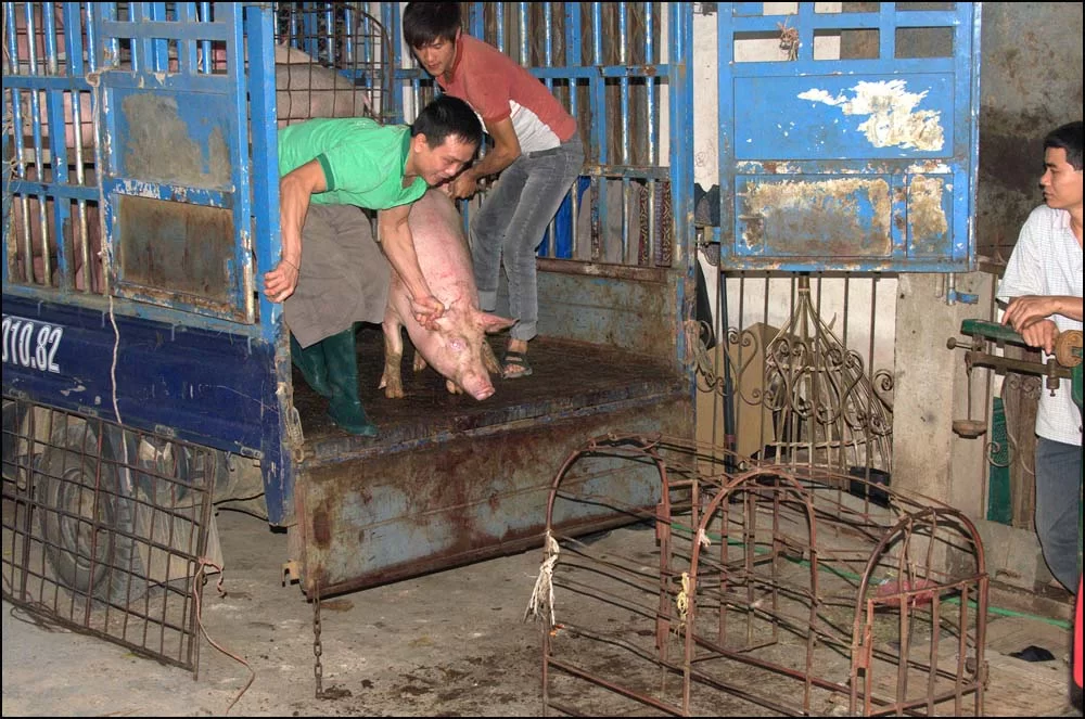 12-1769 Gristransport DBP.webp