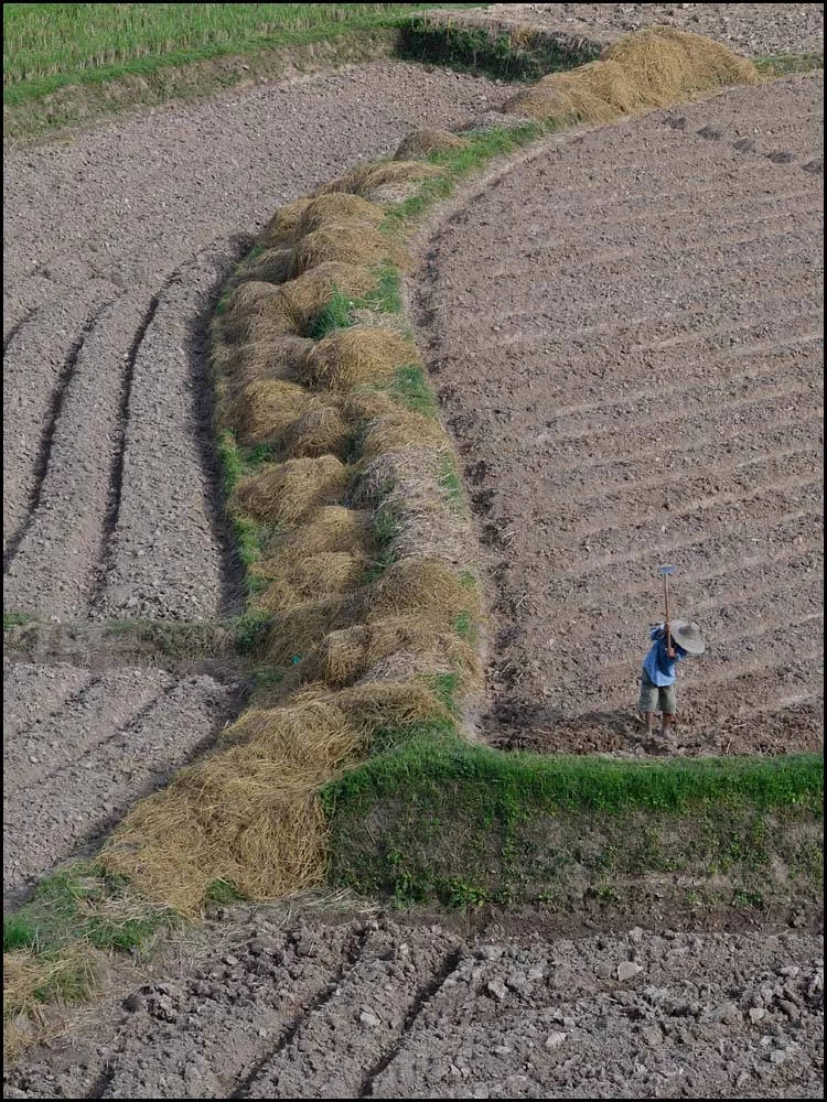 13-2014 Bonde på åker NAN.webp