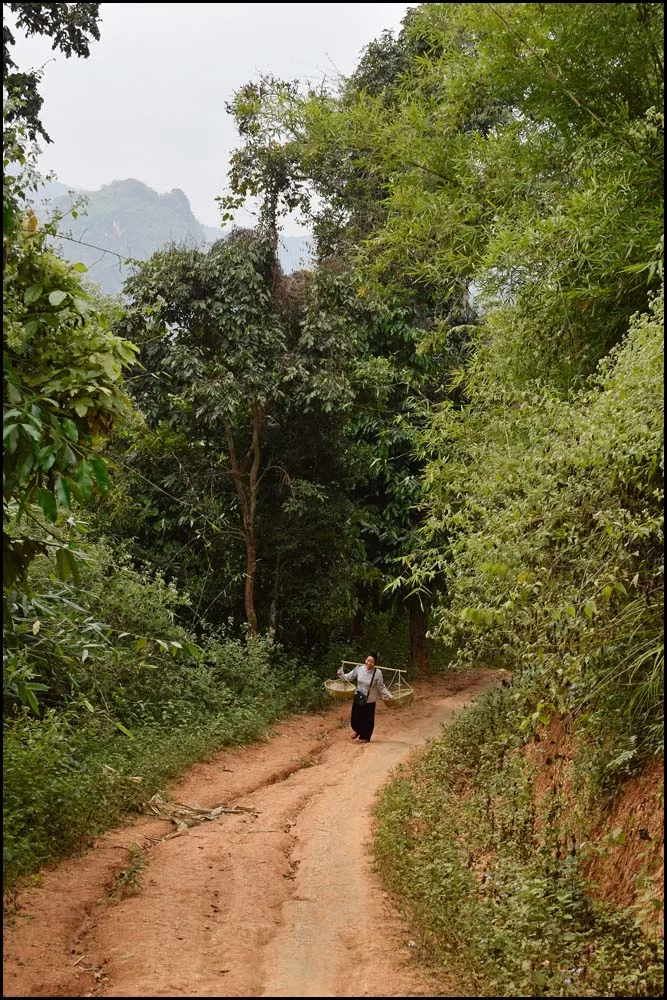 14-2190 Hilltribe-kvinna med korgar SOL.webp