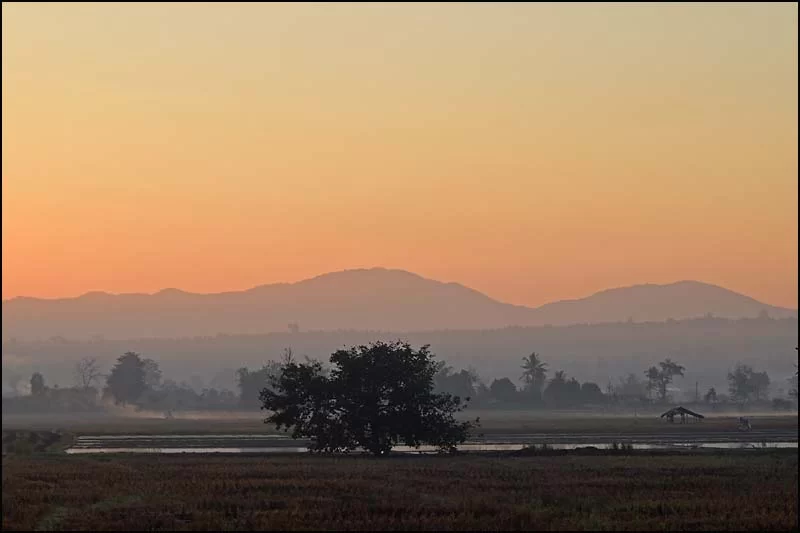 16-0018 Morgondis, Fang CHM.webp