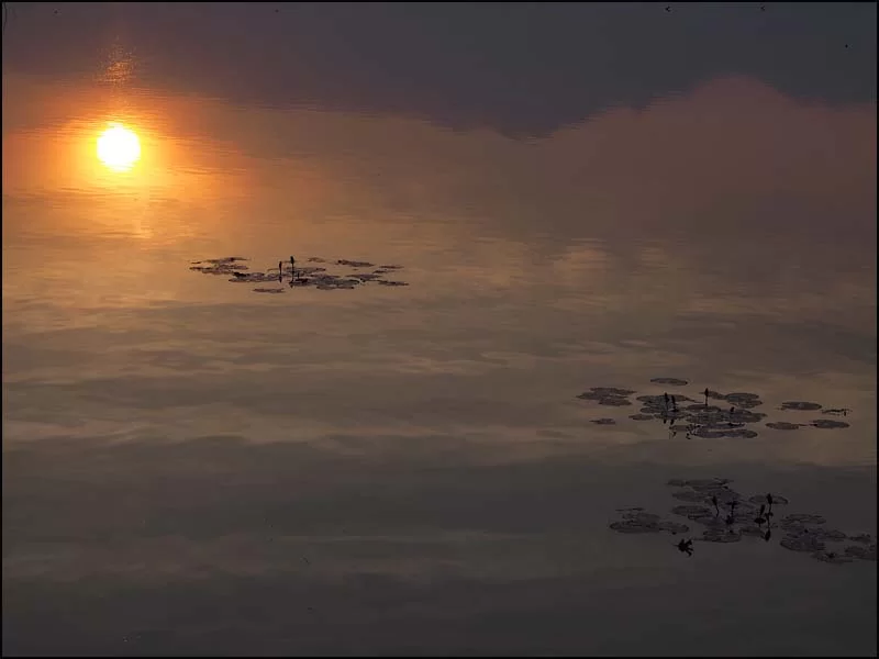 16-0231 Reflektion av solnedgången PYO.webp