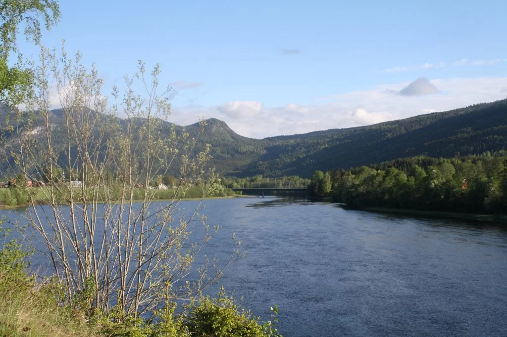 16 mai Bergen 2011 009.webp