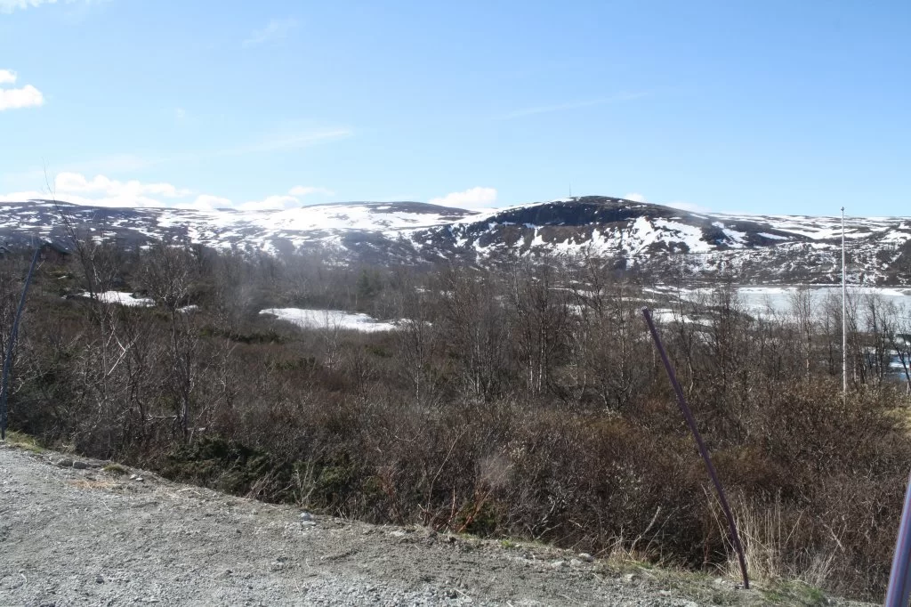 16 mai Bergen 2011 031.webp