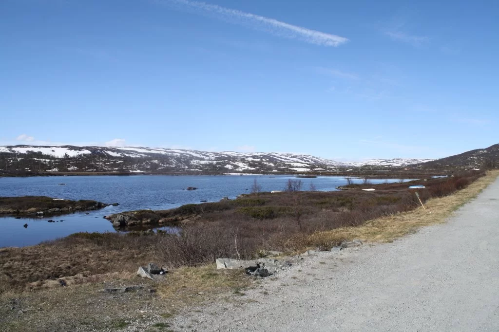 16 mai Bergen 2011 034.webp