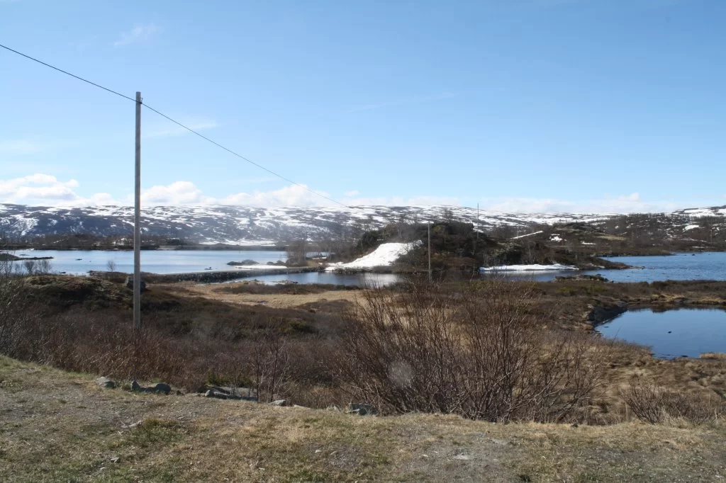 16 mai Bergen 2011 036.webp