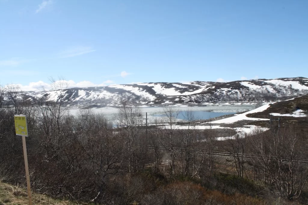 16 mai Bergen 2011 041.webp