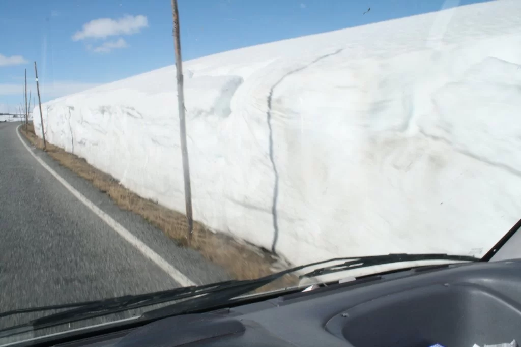 16 mai Bergen 2011 051.webp