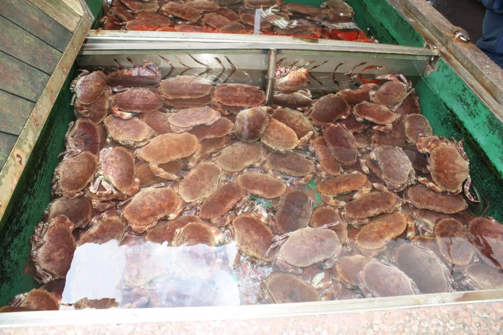 16 mai Bergen 2011 153.webp