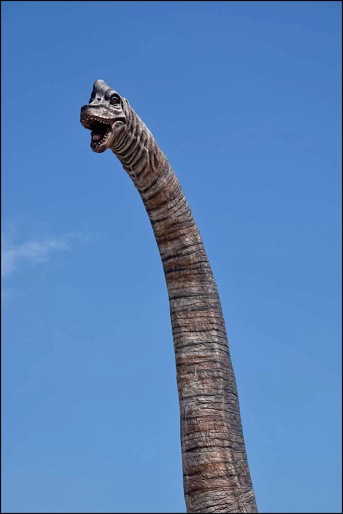 17-1435 Bracciosaurus CBU.webp