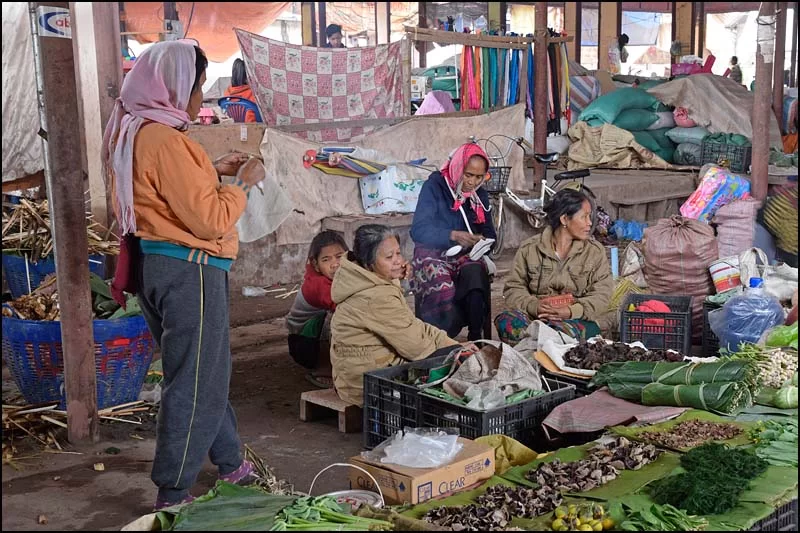 18-0097 Marknadsgummor LNT.webp