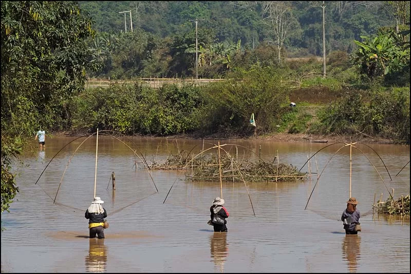18-0157 Håvfiske LNT.webp