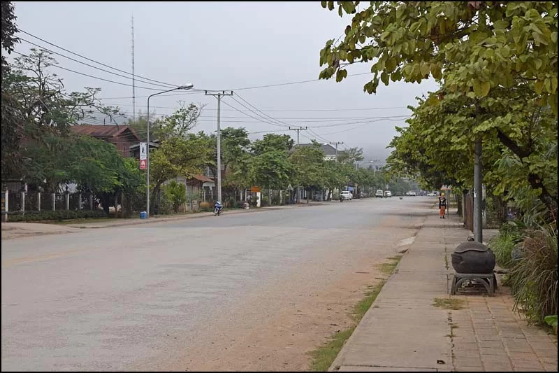 18-0168 Bred gata LNT.webp