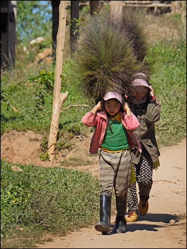 18-0203 Barn bär gräsvippor LNT.webp