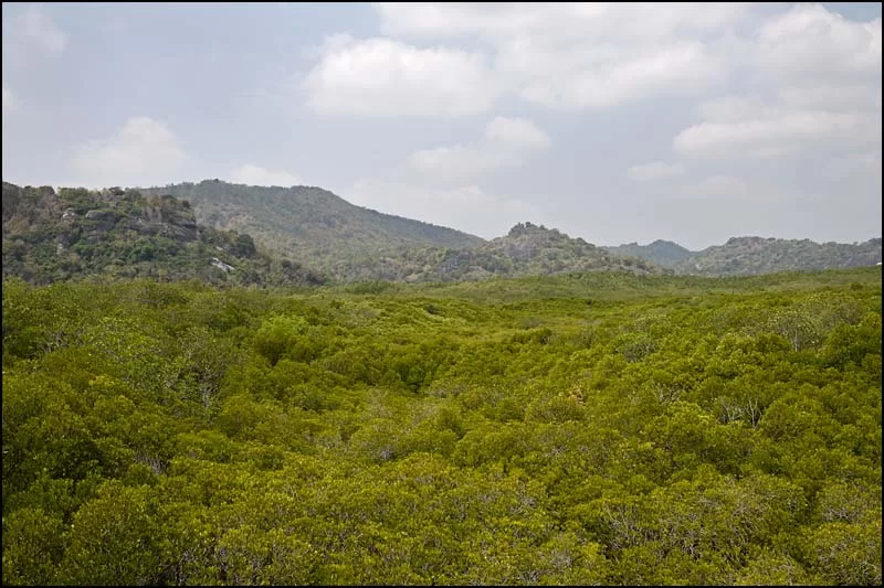 18-0439 Pranburi Forest Park PKK.webp