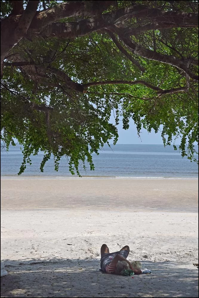 18-1555 Siesta vid stranden PKK.webp