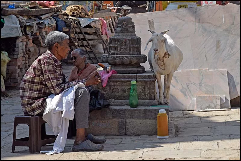 18-1713 Man med get, Chibakhel KTM.webp