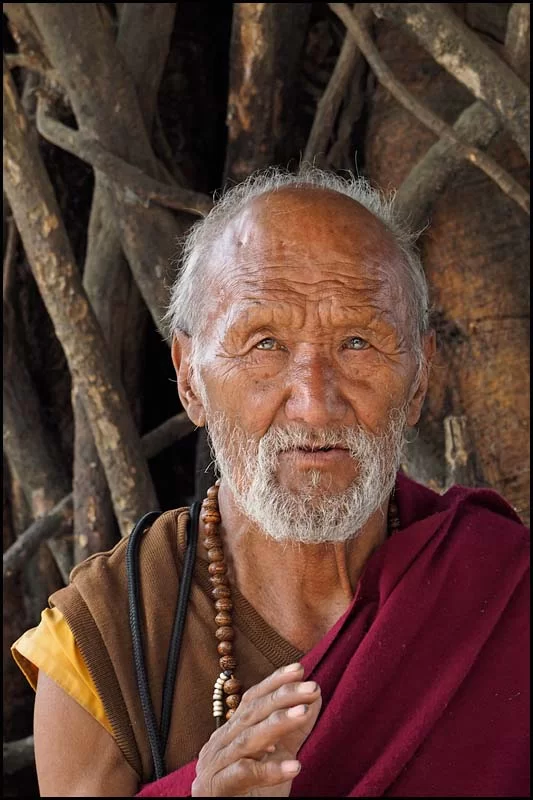 18-1801 Munk i Buddha Park KTM.webp