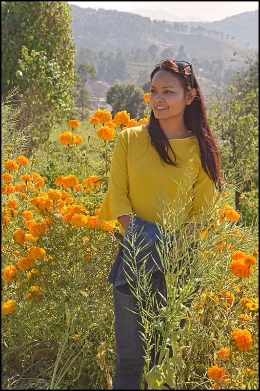 18-1873 Rachana bland marigolds DUK.webp