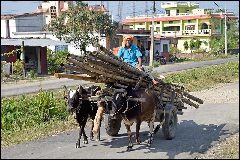 18-2045 Oxkärra MHN.webp