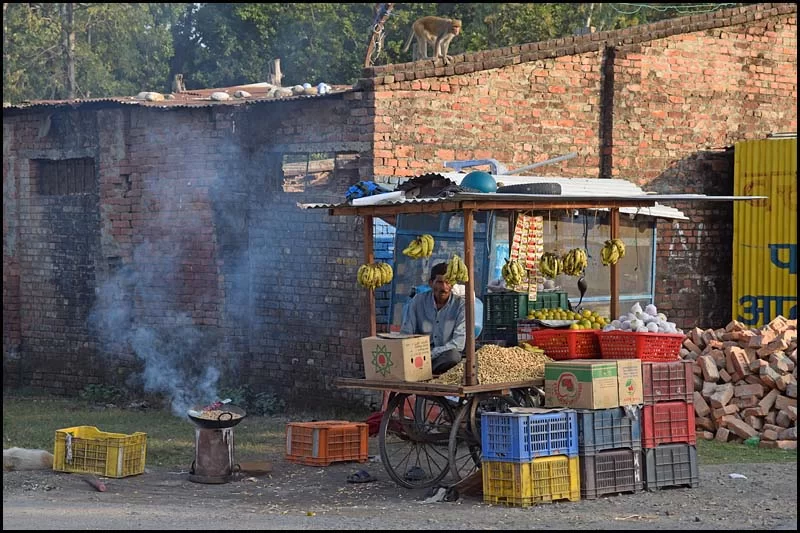 18-2069 Apa och gatustånd MHN.webp