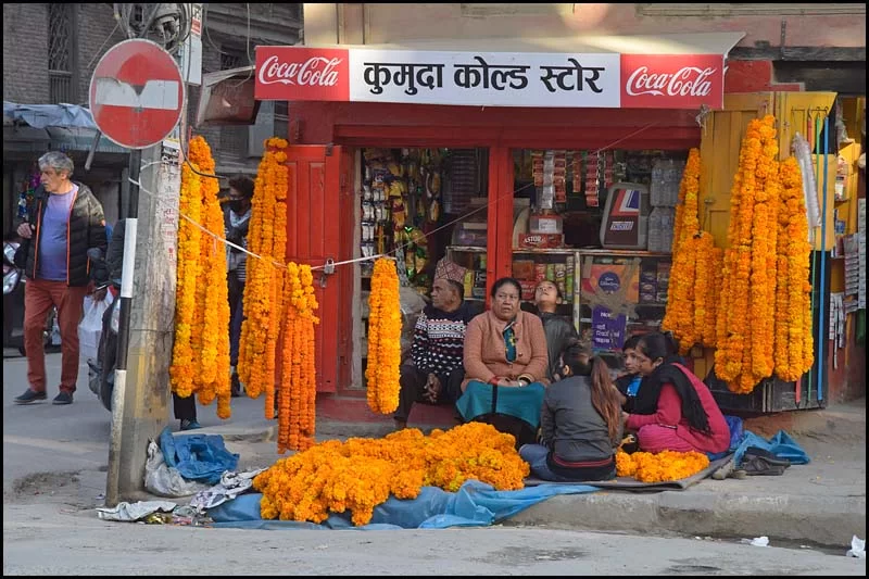 18-2075 Försäjning av girlanger KTM.webp