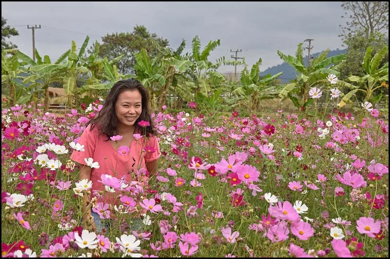 18-2266 Kwang bland blommor KOR.webp