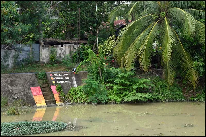 18-2370 Floden genom Carcar CEB.webp