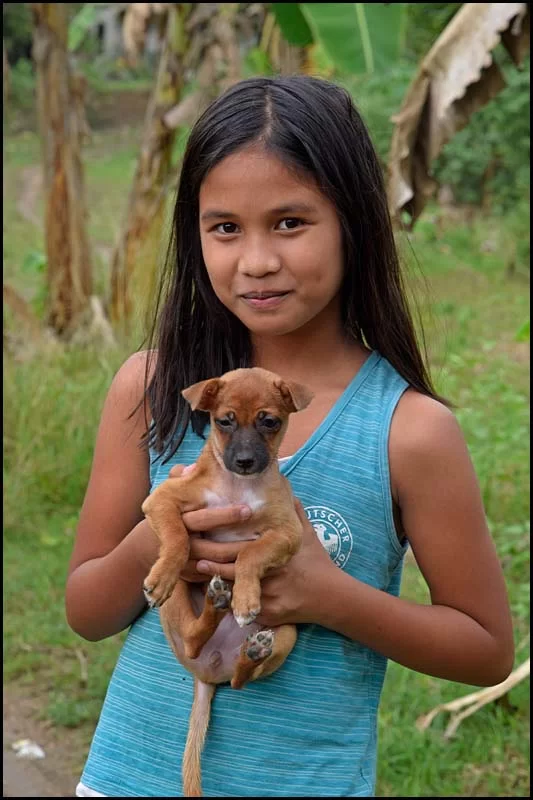 18-2376 Nikki med hundvalp CEB.webp