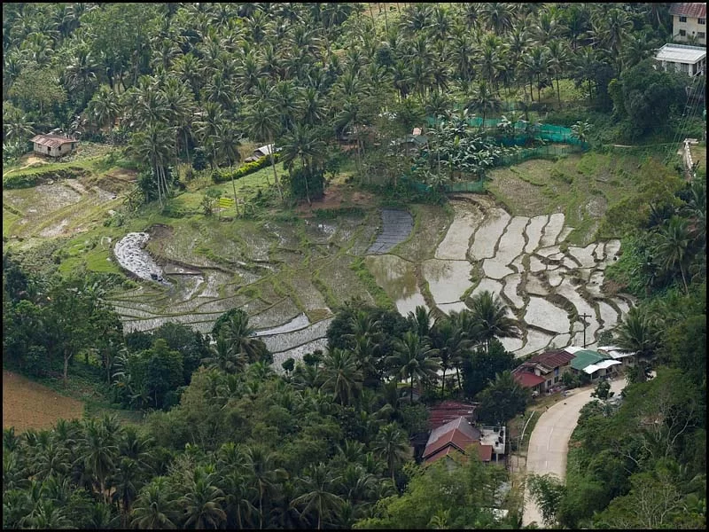 18-2442 Terrassodlingar CEB.webp