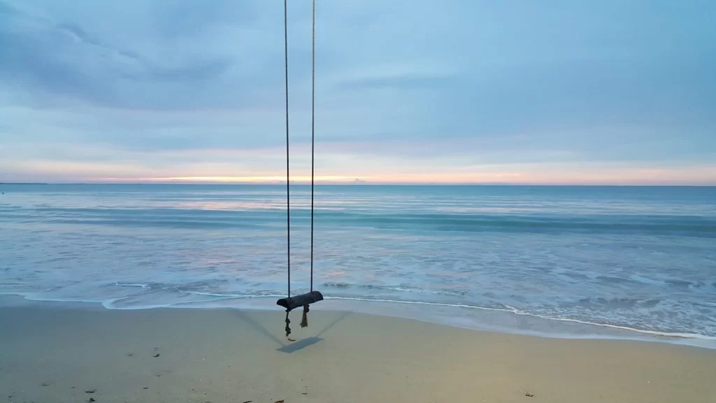 18216637_1381984388561634_8989898515248759740_o.jpg cocon.webp