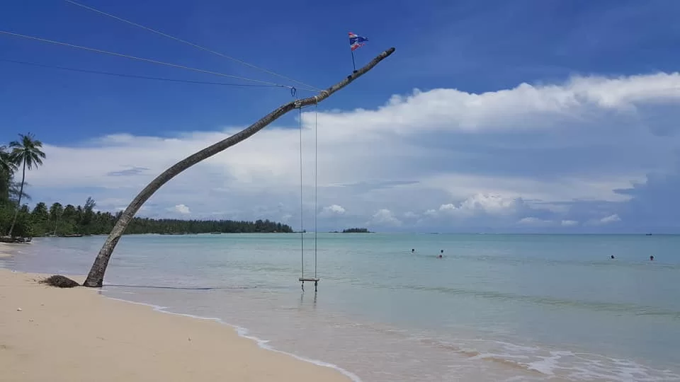 18486244_1390383134388426_1224315084543556008_n.jpg coconut be.webp