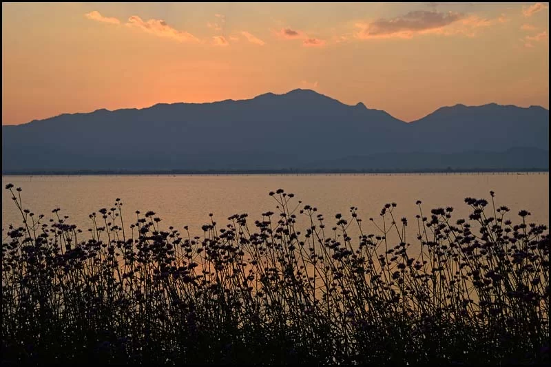 19-0095 Solnedgång, Kwan Phayao PYO.webp