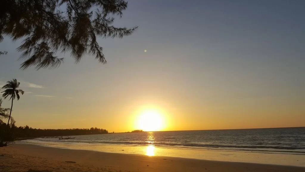 19620416_1445139795579426_6300009698917218420_o.jpg coconut beach.webp