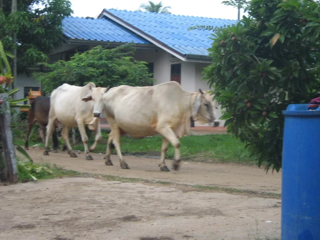 1980-01-01 00-00-22 - IMG_2569.webp