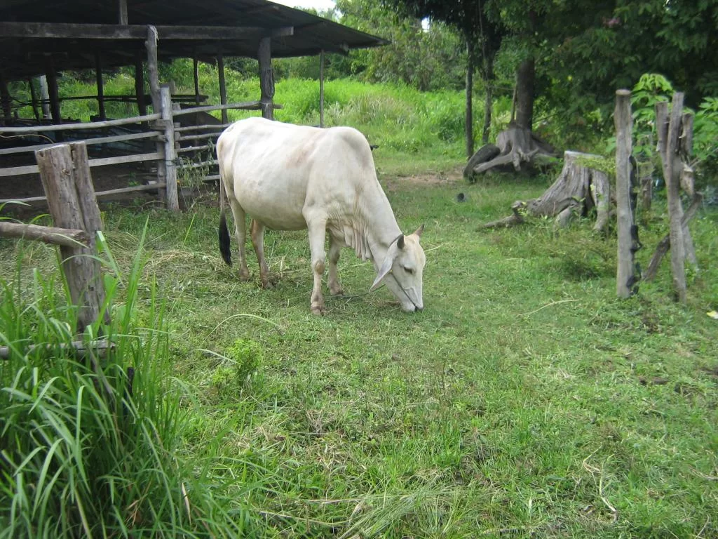 1980-01-01 00-00-29 - IMG_2556.webp