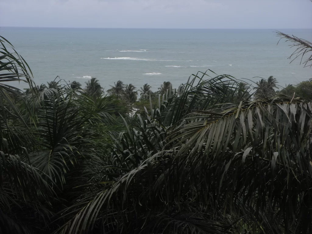 2010-05-16 02.21.32.webp