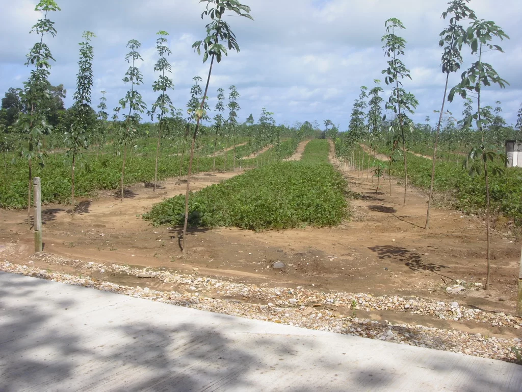 2010-05-16 23.30.30.webp