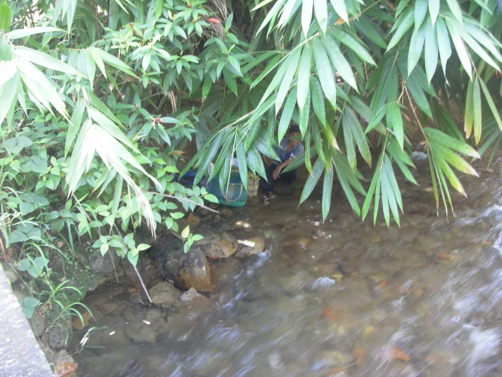 2010-05-16 23.45.25.webp