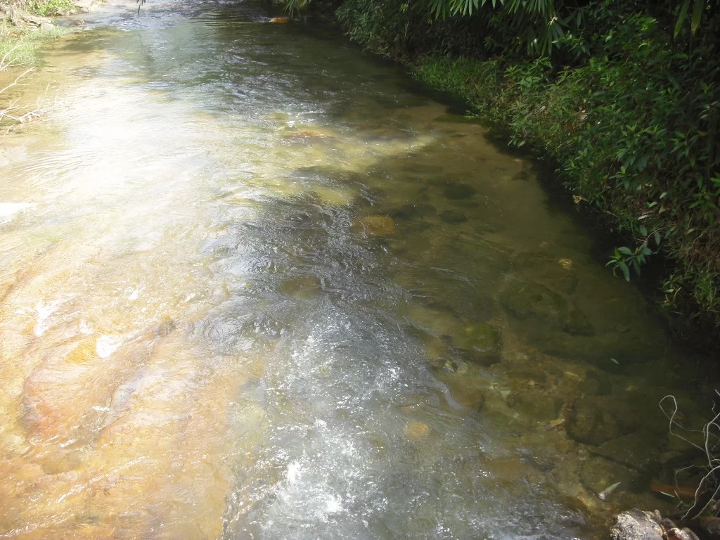 2010-05-16 23.45.37.webp