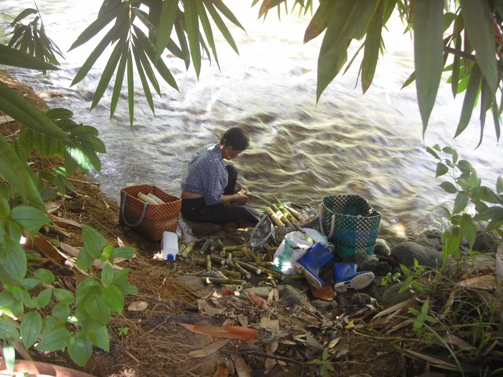 2010-05-16 23.46.07.webp