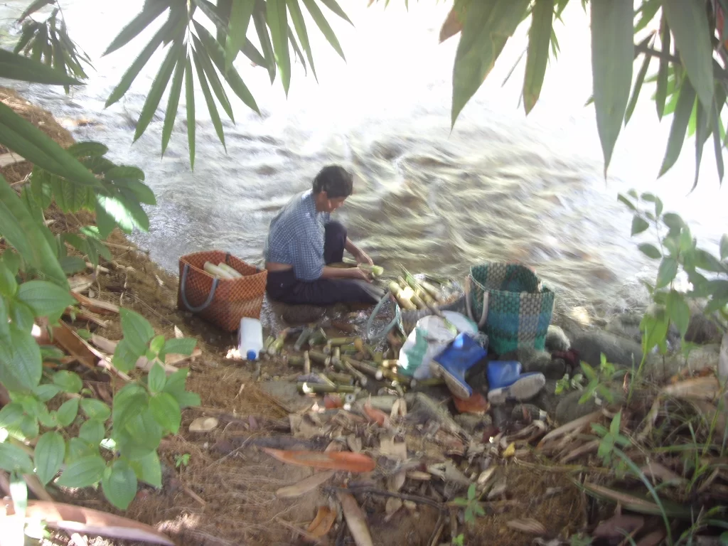 2010-05-16 23.46.11.webp