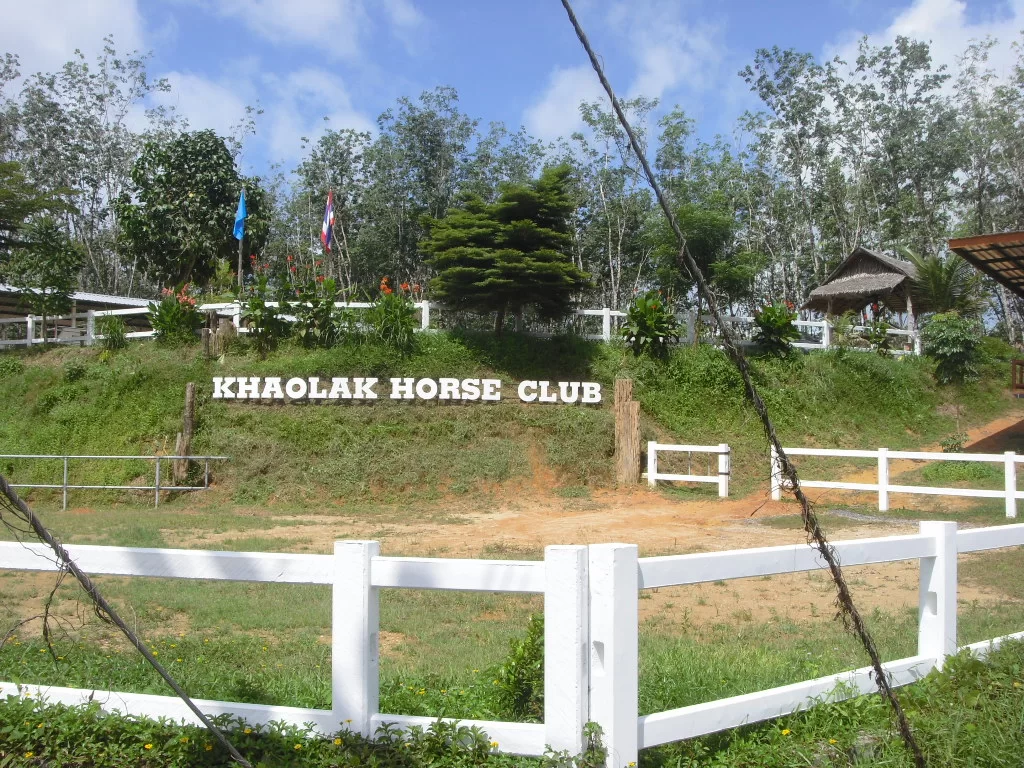 2010-05-16 23.53.33.webp