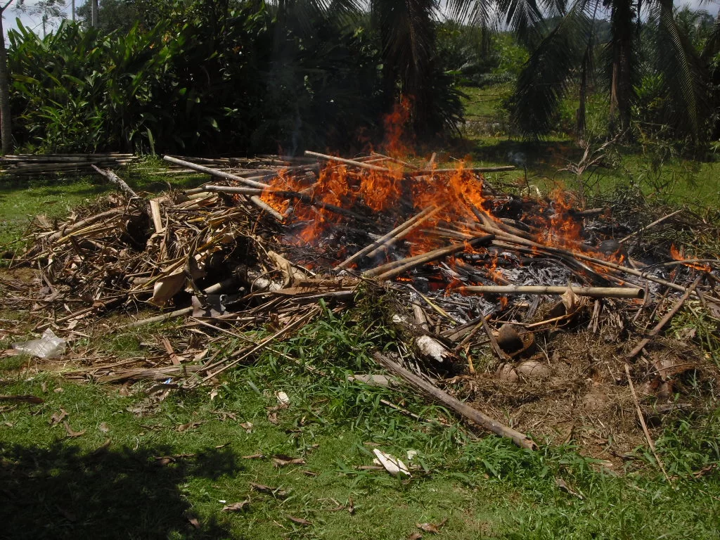 2010-05-17 03.05.52.webp