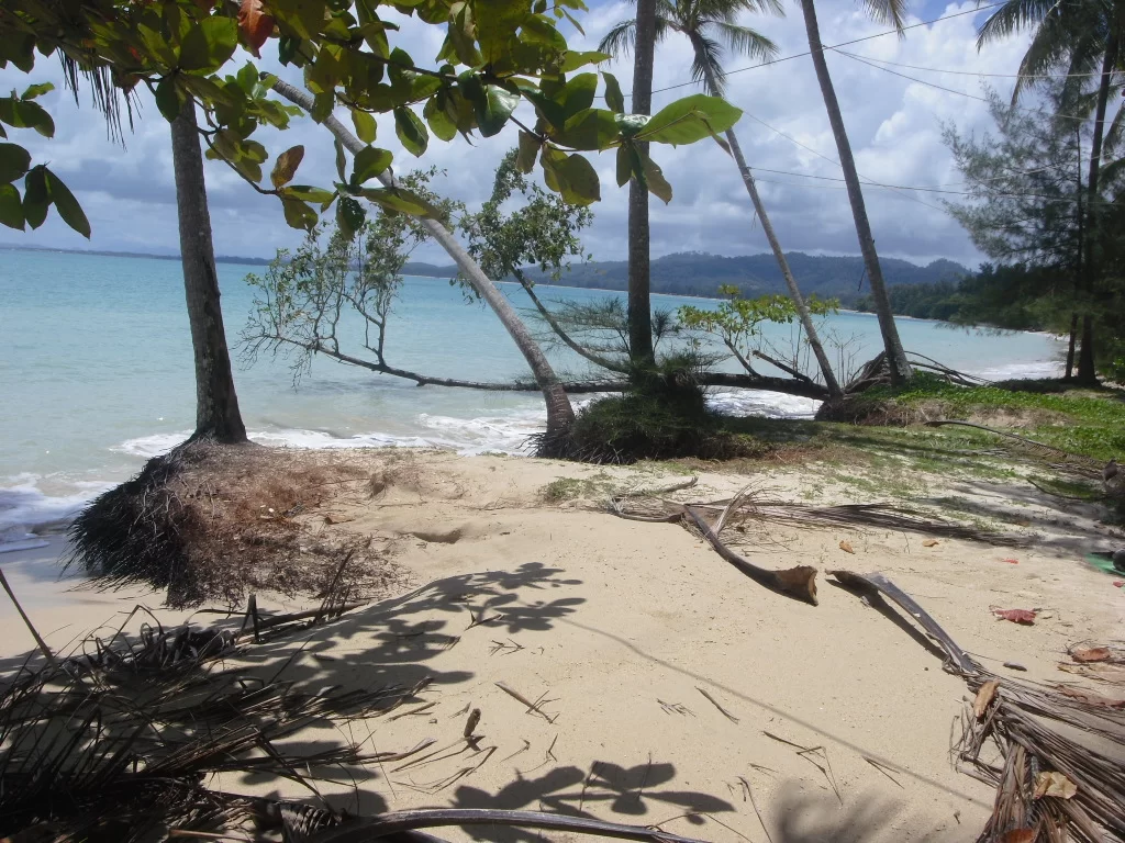 2010-05-21 01.48.36.webp