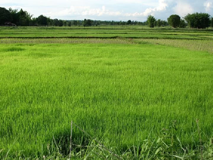 2010-07-22 13-36-41_0039.webp