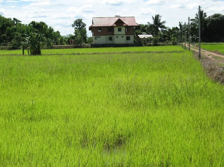 2010-08-16 18-10-33_0053.webp