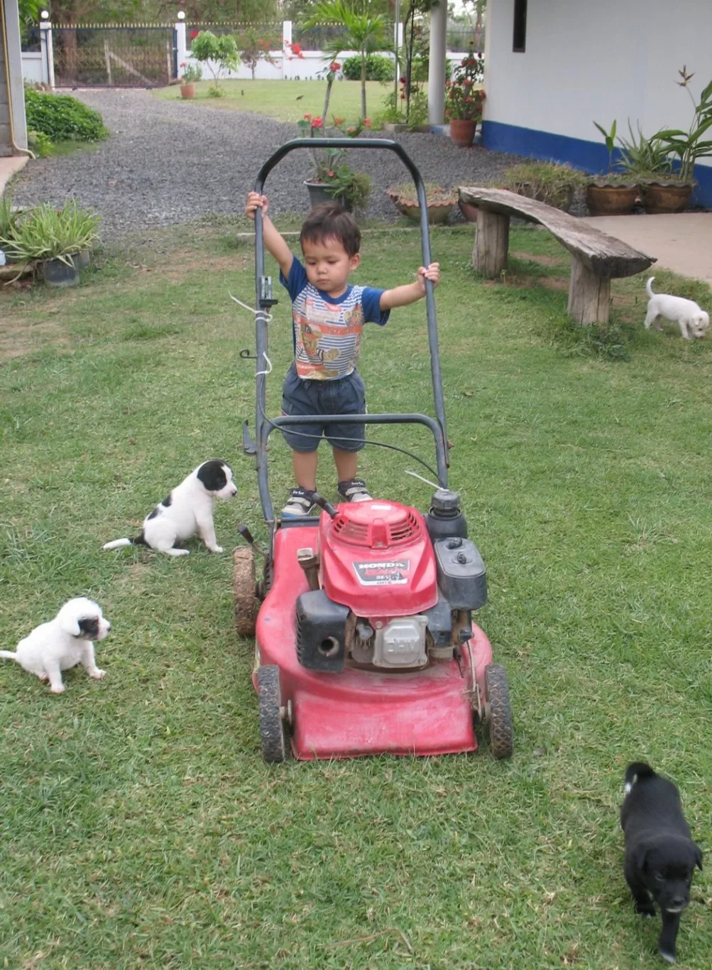 2012-02-03 18-33-40_2560.webp